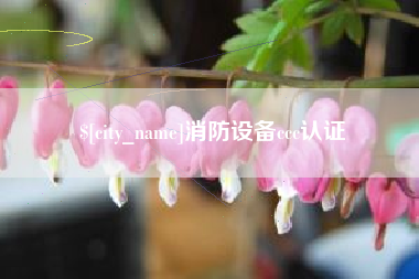 武夷山消防设备ccc认证