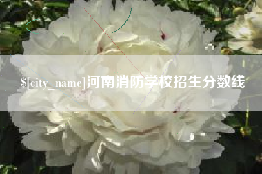 武夷山河南消防学校招生分数线