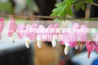 武夷山中国消防救援学院2020年河南录取分数线