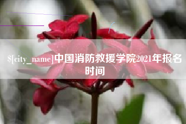 武夷山中国消防救援学院2021年报名时间