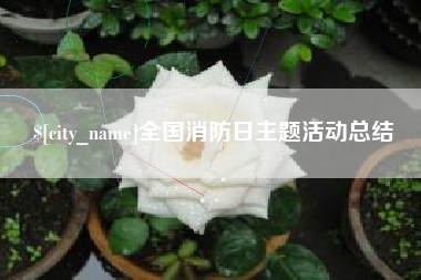 武夷山全国消防日主题活动总结