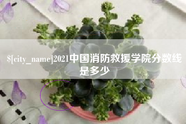 武夷山2021中国消防救援学院分数线是多少