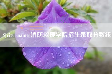 武夷山消防救援学院招生录取分数线