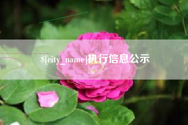武夷山执行信息公示