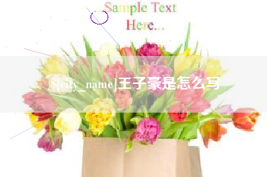 武夷山王子豪是怎么写