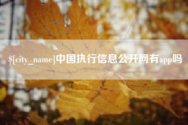 武夷山中国执行信息公开网有app吗