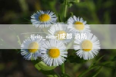 武夷山成都 消防