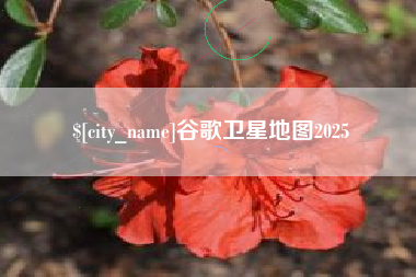 武夷山谷歌卫星地图2025
