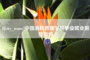 武夷山中国消防救援学院毕业就业前景如何