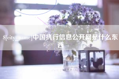 武夷山中国执行信息公开网是什么东西