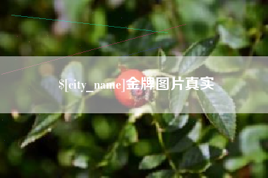 武夷山金牌图片真实