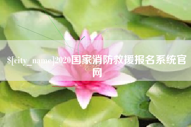 武夷山2020国家消防救援报名系统官网