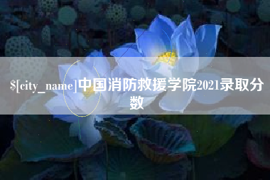 武夷山中国消防救援学院2021录取分数
