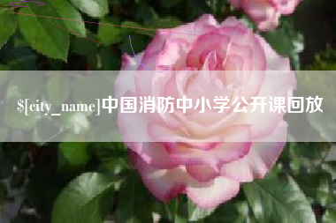 武夷山中国消防中小学公开课回放