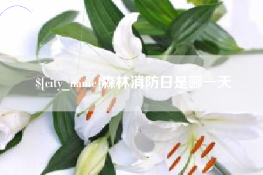 武夷山森林消防日是哪一天