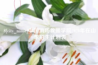 武夷山中国消防救援学院2020年在山东招生计划表