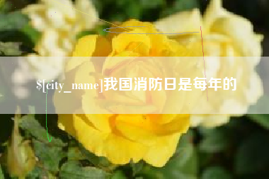 武夷山我国消防日是每年的