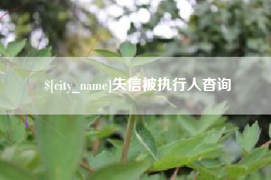 武夷山失信被执行人杳询