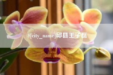 武夷山邱县王子磊