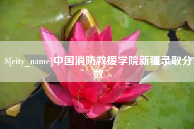 武夷山中国消防救援学院新疆录取分数