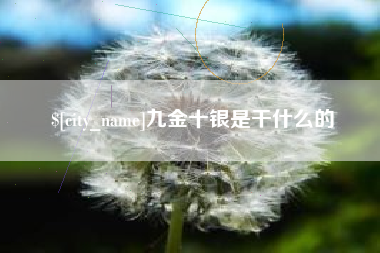 武夷山九金十银是干什么的