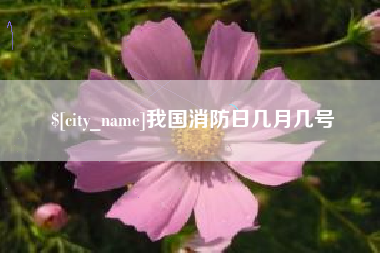 武夷山我国消防日几月几号