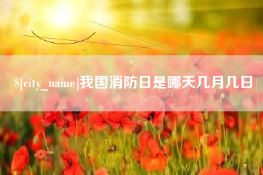 武夷山我国消防日是哪天几月几日