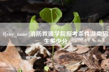 武夷山消防救援学院报考条件湖南招生多少分