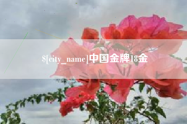 武夷山中国金牌18金