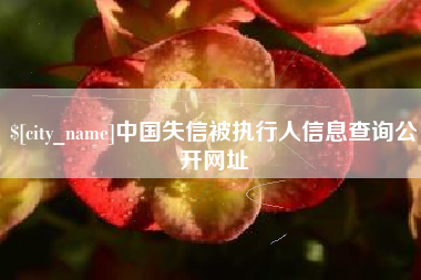 武夷山中国失信被执行人信息查询公开网址