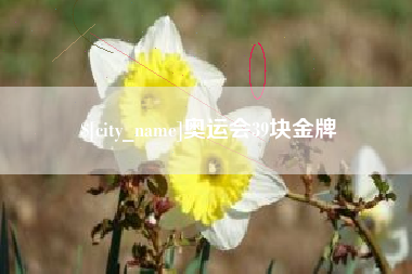 武夷山奥运会39块金牌