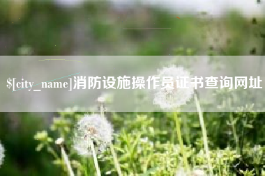 武夷山消防设施操作员证书查询网址
