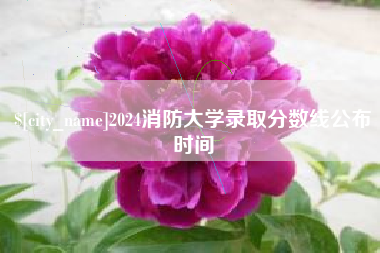 武夷山2024消防大学录取分数线公布时间