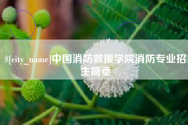 武夷山中国消防救援学院消防专业招生简章