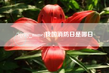 武夷山我国消防日是哪日