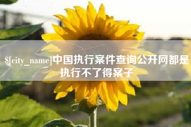 武夷山中国执行案件查询公开网都是执行不了得案子