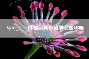 武夷山中国消防救援学院是985吗
