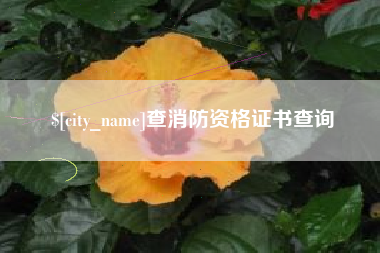 武夷山查消防资格证书查询