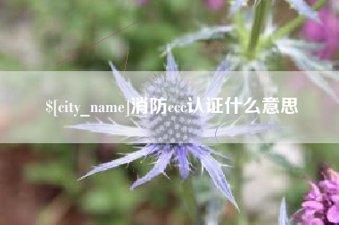 武夷山消防ccc认证什么意思