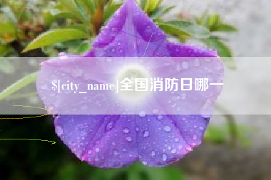 武夷山全国消防日哪一