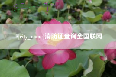 武夷山消防证查询全国联网