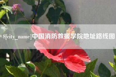 武夷山中国消防救援学院地址路线图