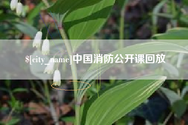 武夷山中国消防公开课回放