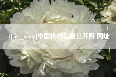 武夷山中国执行信息公开网 网址