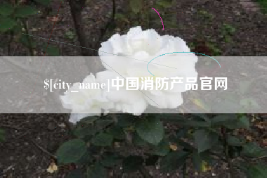 武夷山中国消防产品官网