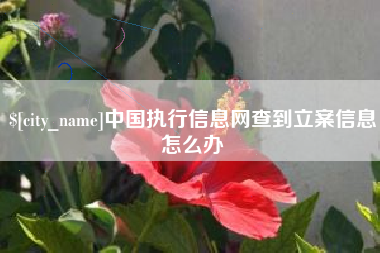 武夷山中国执行信息网查到立案信息怎么办