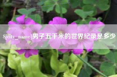 武夷山男子五千米的世界纪录是多少