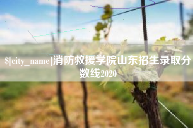 武夷山消防救援学院山东招生录取分数线2020
