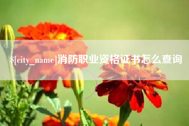 武夷山消防职业资格证书怎么查询