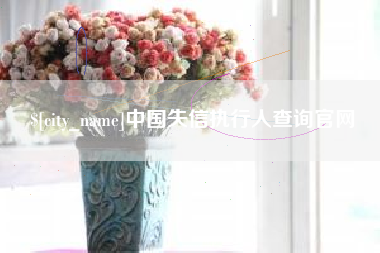 武夷山中国失信执行人查询官网